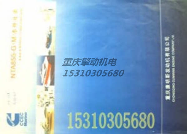 康明斯NTA855-D(M）零件图册 3166152-1
