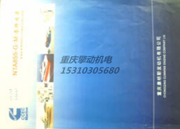 康明斯NTA855-D(M）零件图册 3166152