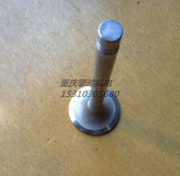 康明斯排气门 145701