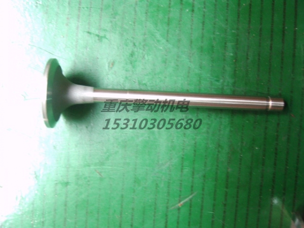 康明斯进气门 207241