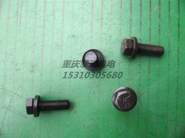 康明斯带垫螺栓 3008069