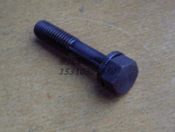 康明斯带垫螺栓 3012474