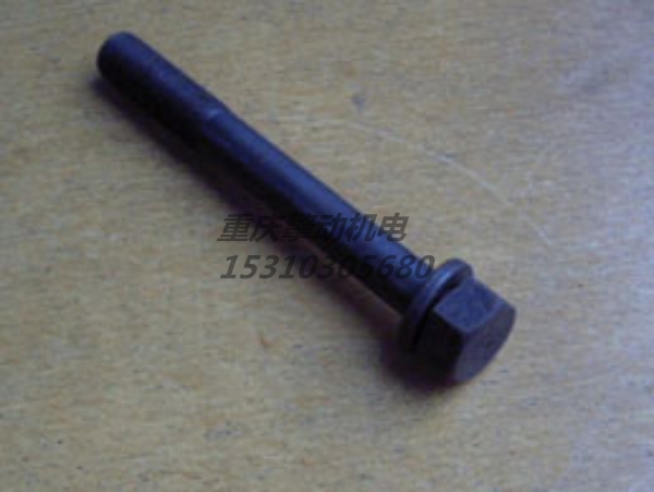 康明斯带垫螺栓 3012469