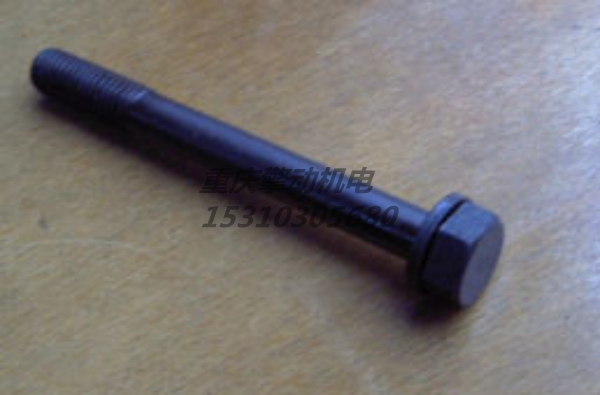 康明斯带垫螺栓 3010589