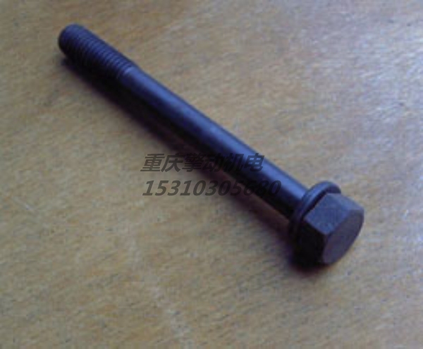 康明斯带垫螺栓 3010597