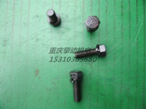 康明斯带垫圈螺栓 3010596