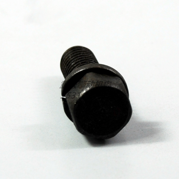 康明斯带垫螺栓 3012471