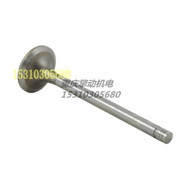 康明斯排气门 3035110