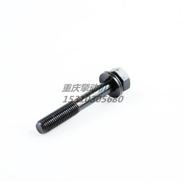 康明斯带垫螺栓 3044901