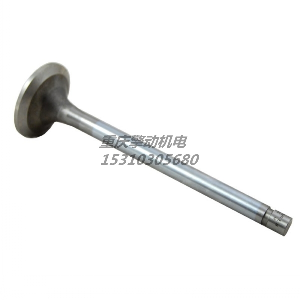 康明斯进气门 3052820