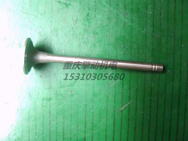 康明斯进气门组件 3803512