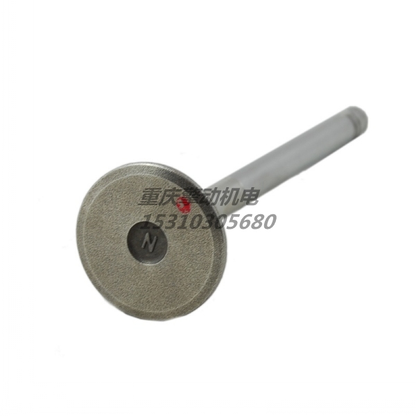 康明斯排气门组件 3803519