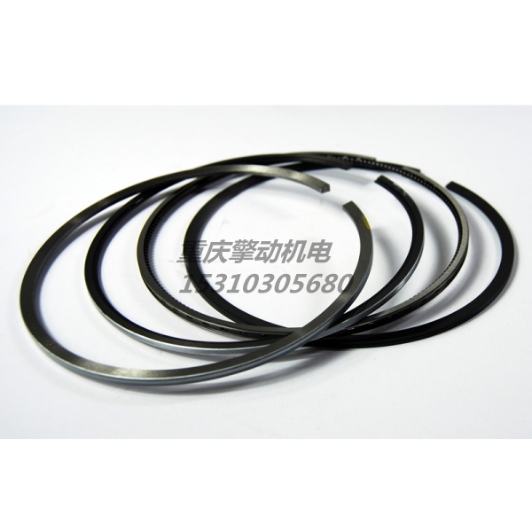 康明斯NT活塞环组 4089811