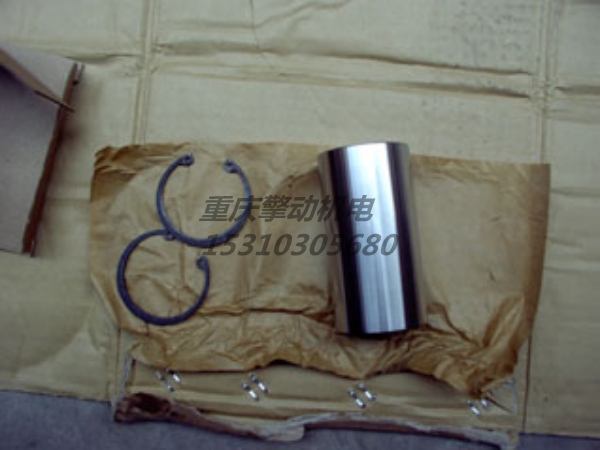 康明斯M11活塞组件 4025161