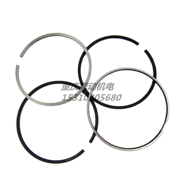 康明斯NT活塞环组 4089810