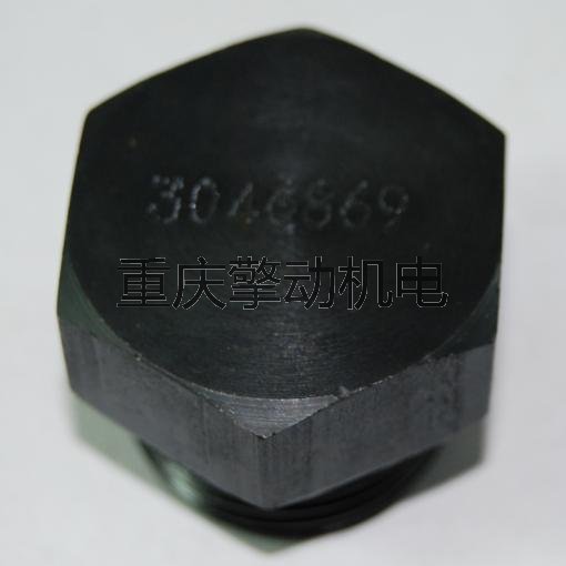 康明斯放油塞总成 3046942