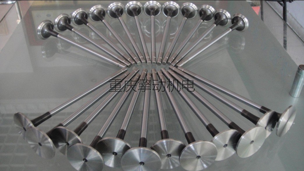 康明斯雷诺进排气门 D5010359502-D501041287