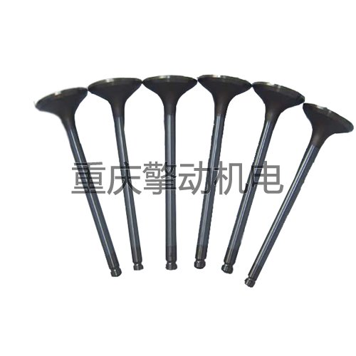 康明斯6CT气门 3924492