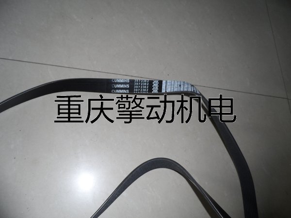 康明斯皮带3972382进口C8.3,ISC，QSL9