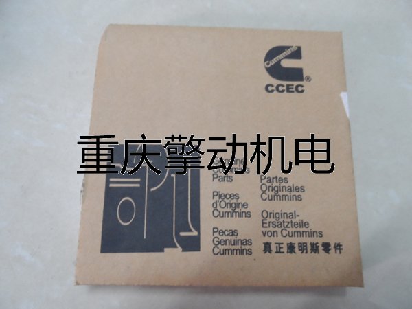 康明斯214950活塞环   QSM11 M11 ISM ISMQQ
