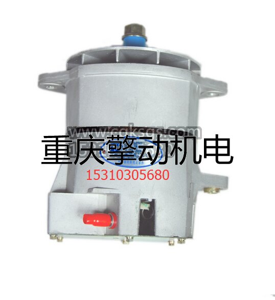 康明斯 N K发电机3000347