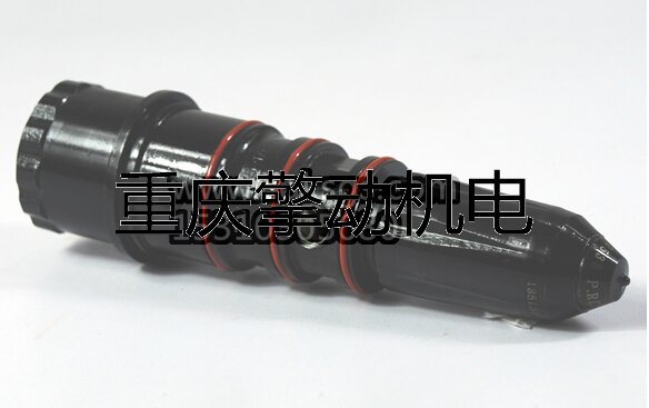 康明斯 NT,NH 喷油器3047976