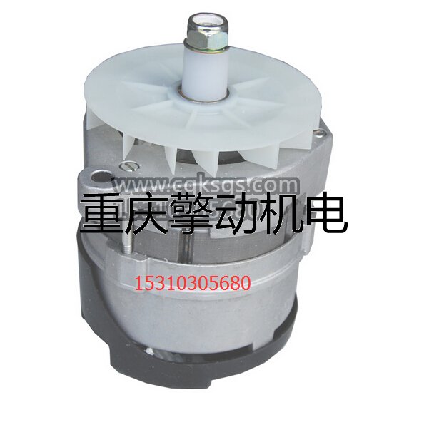 康明斯 6C8.3发电机3964745