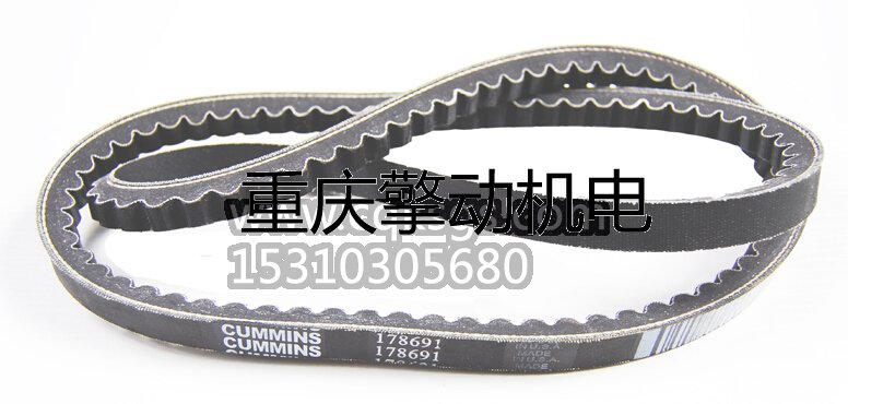 康明斯 NT,NH海水泵皮带178691