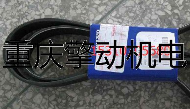 康明斯 6CT8.3    V型棱皮带3972262